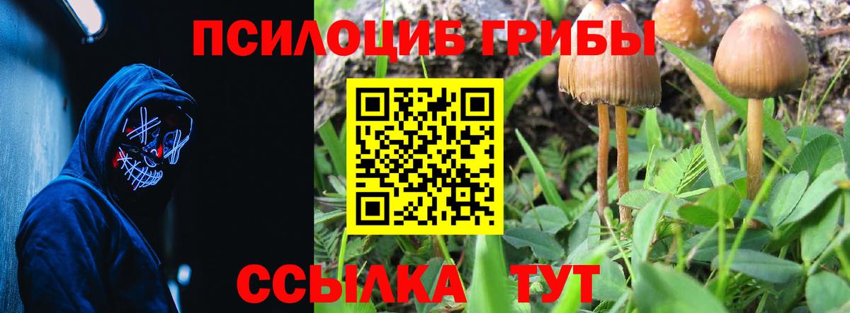 Псилоцибиновые грибы мухоморы Петропавловск-Камчатский